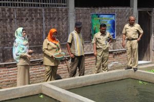 KEGIATAN BANTUAN SARANA DAN PRASARANA PERIKANAN BUDIDAYA TAHUN ANGGARAN 2016 (PADA DINAS PANGAN PERTANIAN KELAUTAN DAN PERIKANAN)